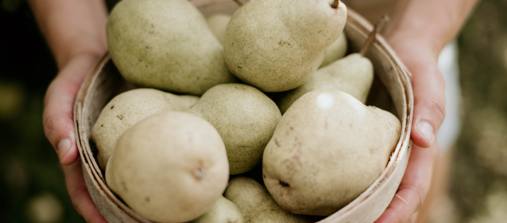 Pears | Kingsville