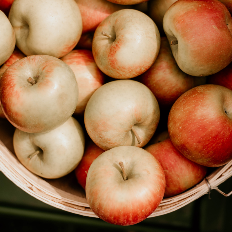 Honey Crisp Apples | Kingsville